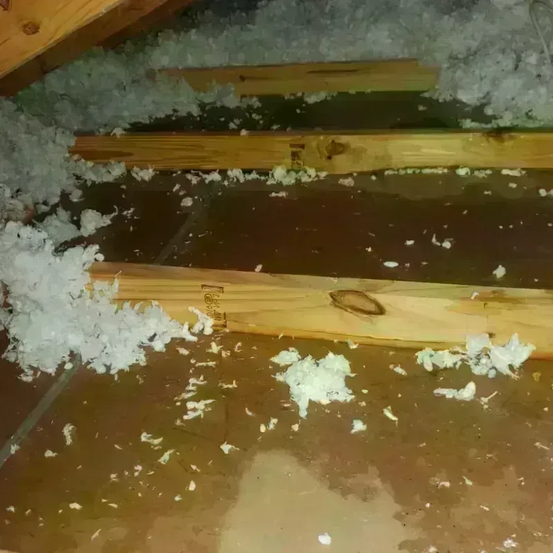 Attic Water Damage in Mission Viejo, CA